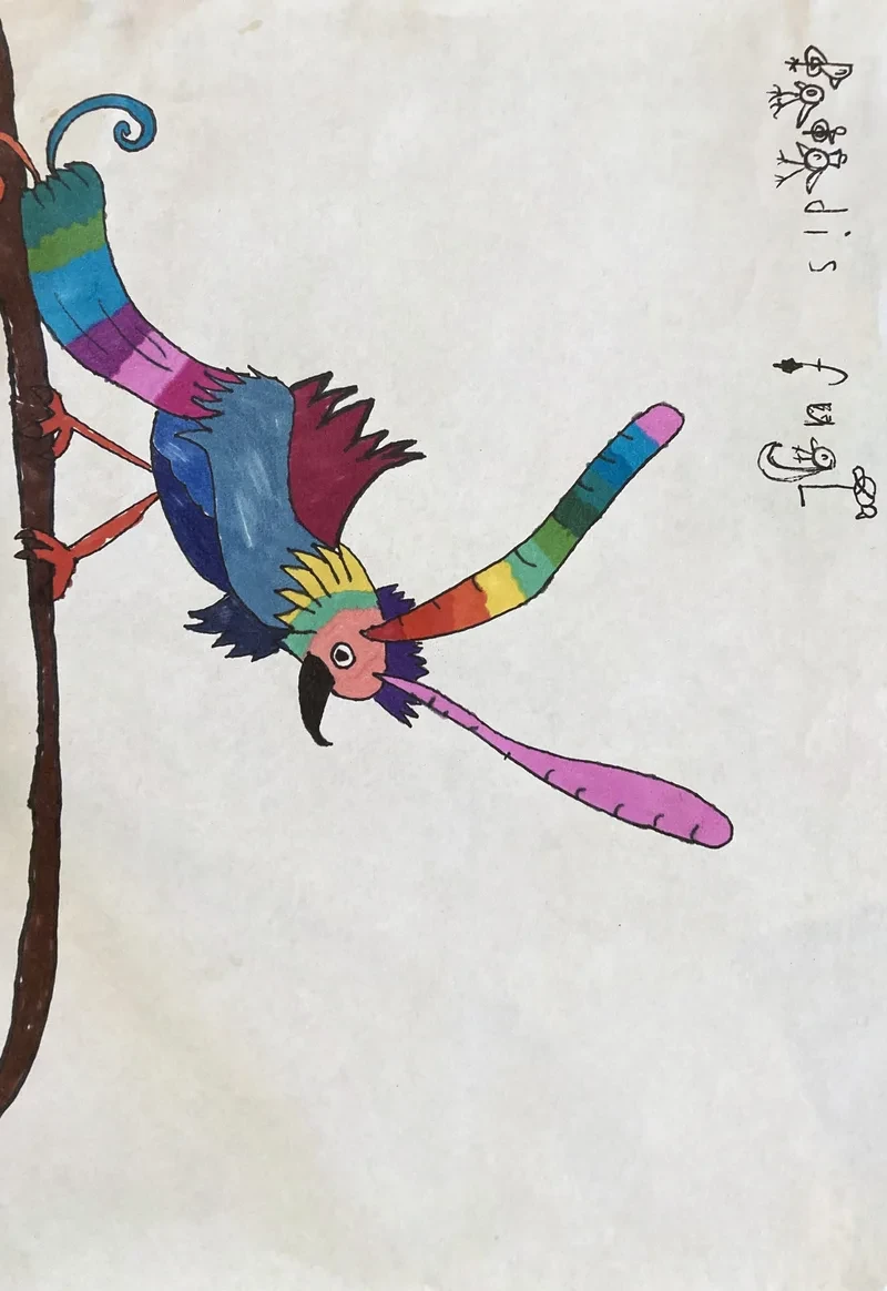 Rainbow bird on branch